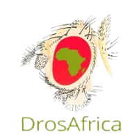 drosafrica-1-200x200