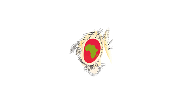 drosafrica
